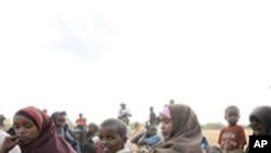 Maanta oo la Xusayo Maalinta Xuquuqda Aadamaha