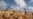 Huge Locust Outbreak in East Africa Reaches South Sudan