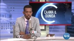 Caawa iyo Dunida