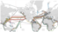 FILE—The world’s undersea cables, image courtesy of TeleGeography.