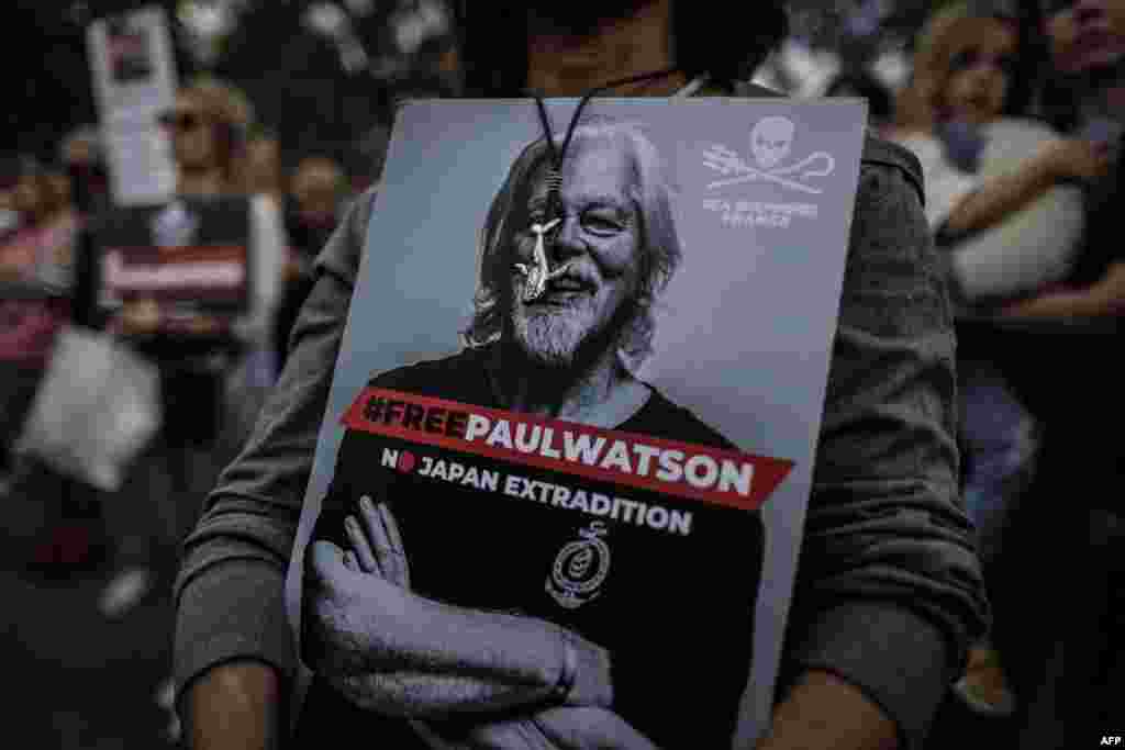 A protester holds a sign displaying the portrait of the NGO Sea Shepherd Canadian founder Paul Watson during a demonstration in his support in Paris, France. Watson was arrested on July 21, 2024 in Greenland under an Interpol &#39;red notice&#39; issued by Japan. A court hearing on his continued detention was due on Sept. 4. (Photo by Thibaud MORITZ / AFP)