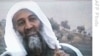 US Envoy: Bin Laden, Taliban Leadership Operating in Pakistan