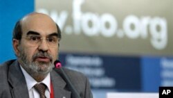 Direktur FAO, Jose Graziano da Silva (Foto: dok).