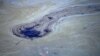 A fish swims under oil slicks in the Talbert Channel after a major oil spill off the coast of California has come ashore in Huntington Beach, California, U.S. October 3, 2021.