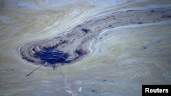 A fish swims under oil slicks in the Talbert Channel after a major oil spill off the coast of California has come ashore in Huntington Beach, California, U.S. October 3, 2021.