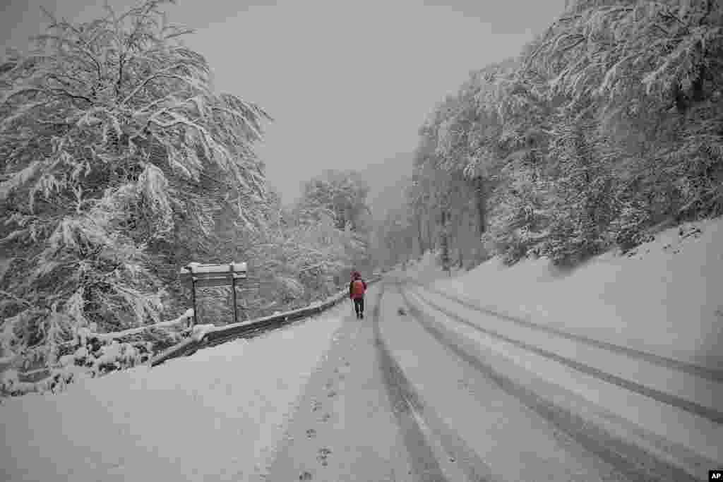 A pilgrim of Saint James walks along a road covered by snow near the Pyrenees village of Roncesvalles, northern Spain.