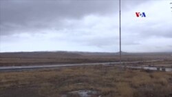 Կենդանիներին անհատներից առգրավելու գործընթացը շարունակվում է, ևս մեկ արջի կյանք փրկվեց