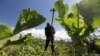 Kenya First to Earn Carbon Credits From Sustainable Farming
