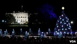 The 2011 National Christmas Tree, all lit up (Photo: AP)