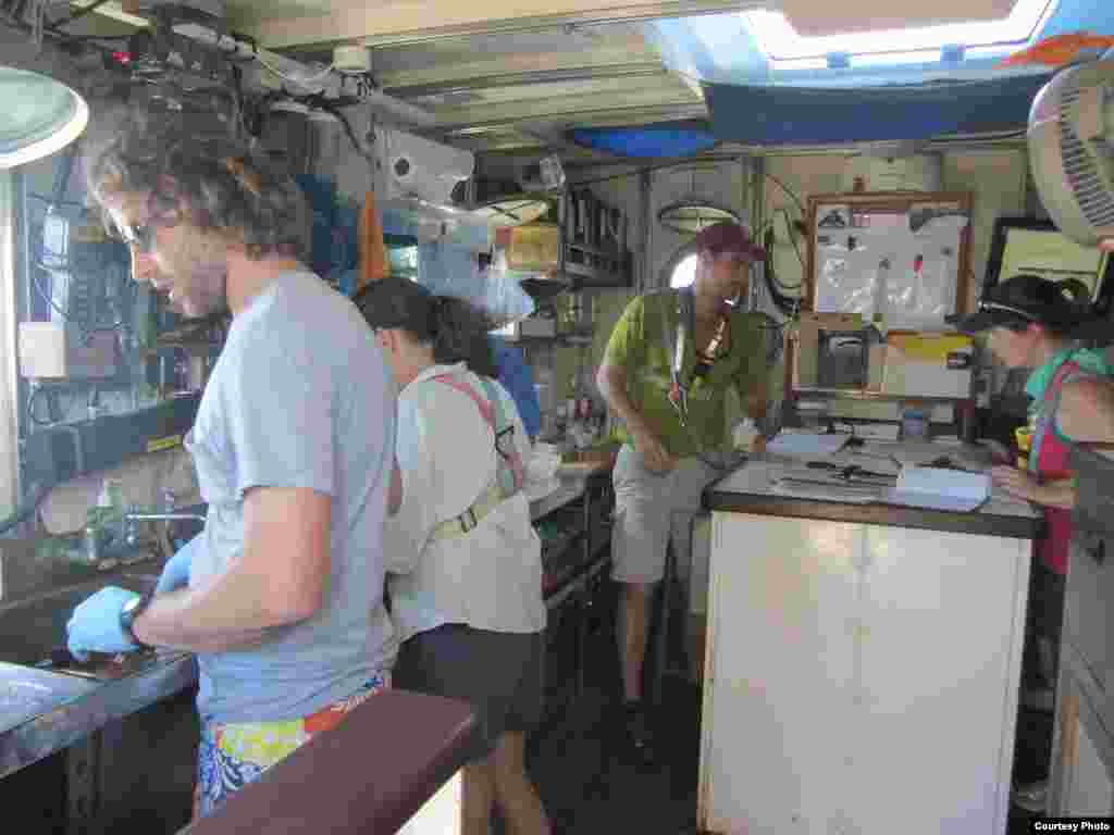 Students and scientists work in the shipboard laboratory. (Credit: E. Zettler, SEA Education Association) 