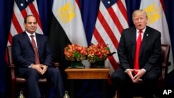 FILE - President Donald Trump speaks during a meeting with Egyptian President Abdel-Fattah el-Sissi at the Palace Hotel during the United Nations General Assembly, in New York, Sept. 20, 2017.