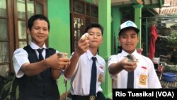 Tiga siswa SMPN 46 Bandung, Asril, Adam, dan Galang, menunjukkan tiga anak ayam yang mereka pelihara. (VOA/Rio Tuasikal)