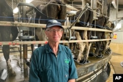 Dairy farmer Aidan Bichan poses in front of cows as they are being milked at Kaiwaiwai Dairies on Nov. 2, 2022, in Featherston, New Zealand. New Zealand scientists are coming up with some surprising solutions for how to reduce methane emissions from farm animals. (AP Photo/Nick Perry)