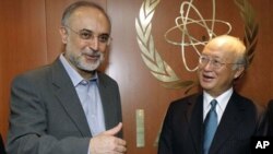 Dirjen IAEA, Yukiya Amano (kanan) melakukan pembicaraan dengan Menlu Iran, Ali Akbar Salehî di Wiena, Austria (foto: dok). 