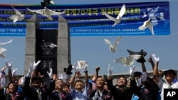 지난 8월 한국 경기도 파주에서는 한반도의 평화적인 통일과 비무장지대 내 세계평화공원 조성을 촉구하는 집회가 열렸다. 참가자들이 평화를 상징하는 비둘기를 날려보내고 있다.