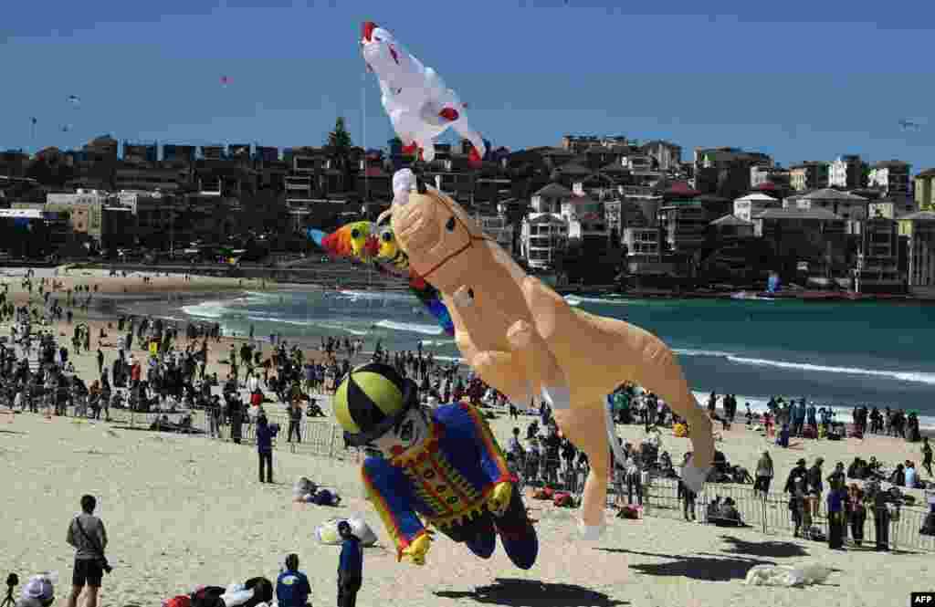فستیوال بادها، بزرگ&zwnj;ترین فستیوال بادبادک بازی استرالیا، هر سال در ماه سپتامبر در ساحل بوندی سیدنی برگزار می&zwnj;شود.