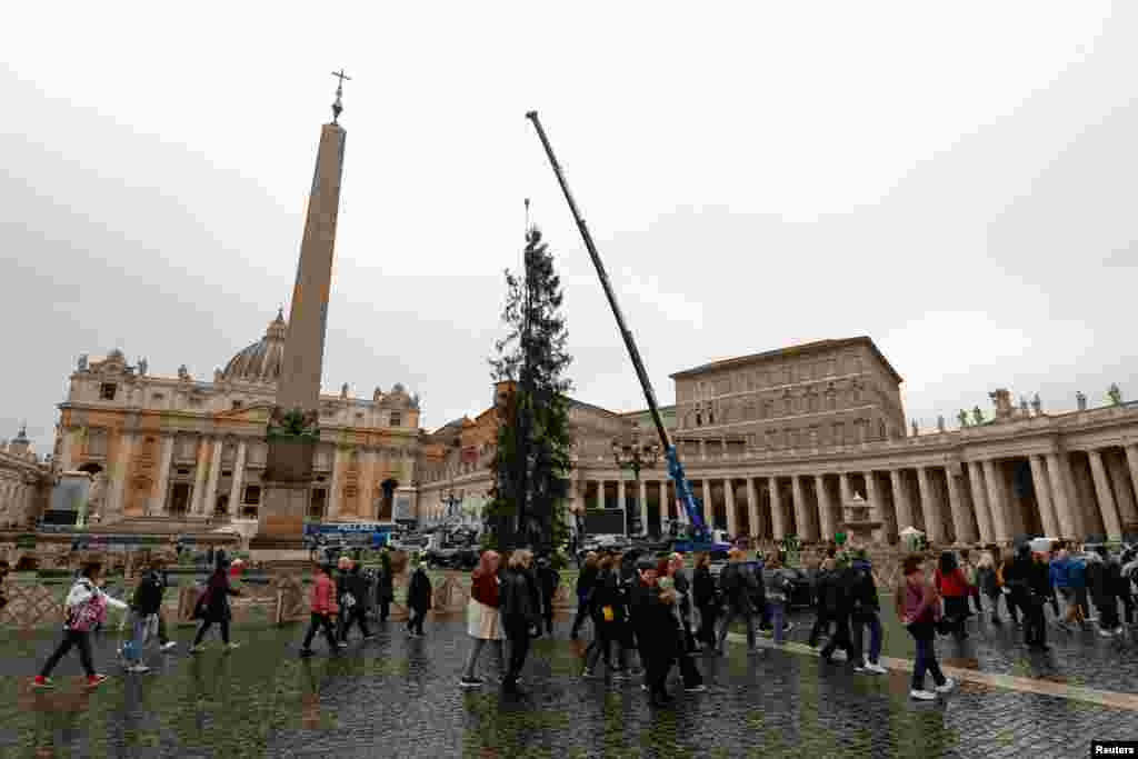 En la Plaza de San Pedro, en el Vaticano, un gran árbol fue levantado el 22 de noviembre para las festividades de fin de año.&nbsp;