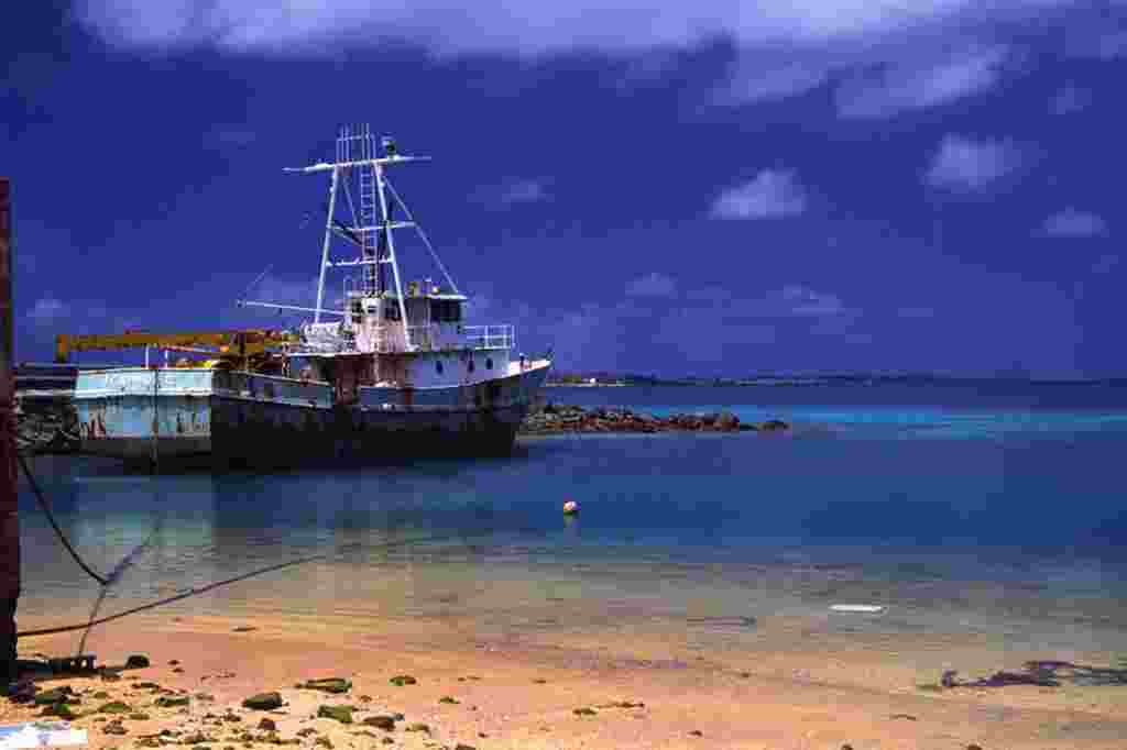 جمعه بیست و یکم ژانویه - هفته ای که گذشت به روایت تصویر