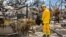 Search, rescue and recovery personnel conduct search operations of areas damaged by Maui wildfires