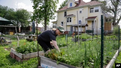 Urban Farms Gain Support