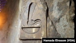 A close-up of the carvings found on the colossus discovered few days ago that almost certainly depicts Psamtik I in the Egyptian Museum Cairo, March 14, 2017. (H. Elrasam/VOA)