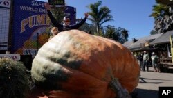 Travis Gienger, pemenang kompetisi labu raksasa Safeway World Championship Pumpkin Weigh-Off.