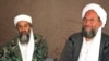 Al-Kaida posle smrti lidera