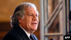 El Secretario General de la Organización de los Estados Americanos (OEA), Luis Almagro, habla durante el Foro del Instituto Interamericano para la Democracia "Defensa de la Democracia en las Américas" en Miami, Florida, el 5 de mayo de 2021.