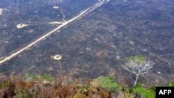 Aerial view of burnt areas of the Amazon rainforest, near Porto Velho, Rondonia state, Brazil, on August 24, 2019.