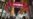 Tokyo to Fight COVID With 'Quasi-Emergency'