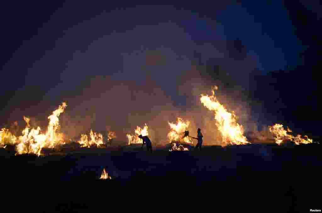 Farmers burn stubble in a rice field at a village in Karnal in the northern state of Haryana, India.