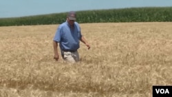 VOA’s Midwest correspondent, Kane Farabaugh speaks with farmer, Brian Duncan.