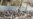 Kashmiris Protest Army Shooting