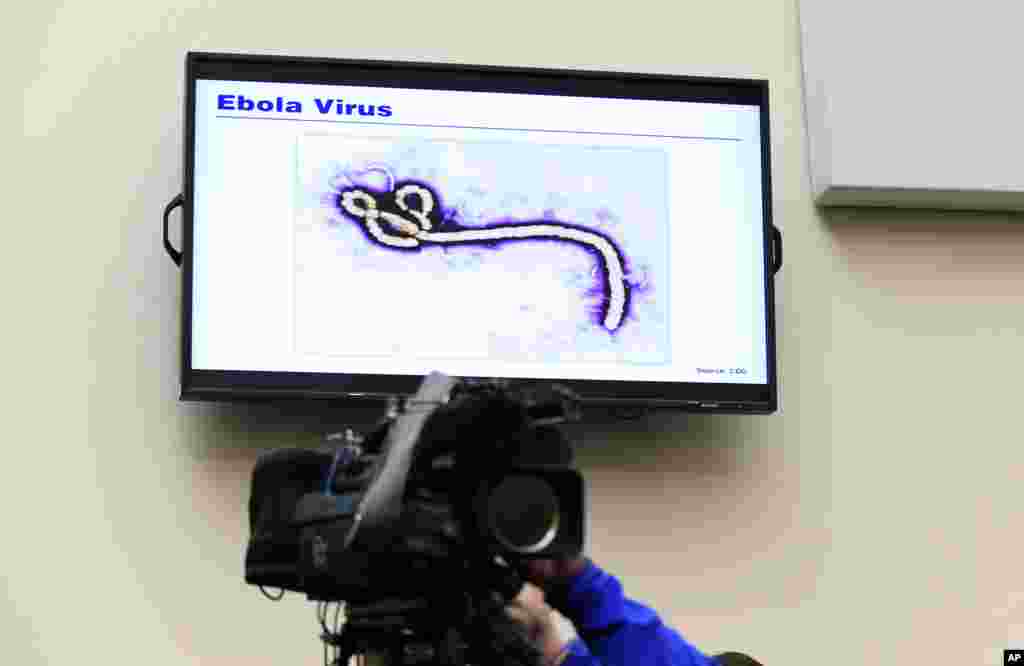 A photo of the Ebola virus is displayed on a television monitor during the hearing on Capitol Hill in Washington, Sept. 17, 2014. 