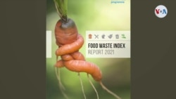 17% de la comida termina anualmente en la basura: Índice de Desperdicio de Alimentos