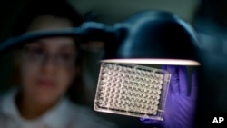 FILE - А мicrobiologist reads a panel to check on a bacterium's resistance to an antibiotic in а lab at the U.S. Centers for Disease Control and Prevention, Nov. 25, 2013, in Atlanta, Georgia.