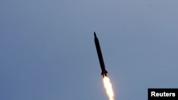 伊朗曾在2009年试射导弹成功(资料照片)