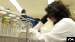 En el estudio participaron 14 pacientes con el virus H7N9. 