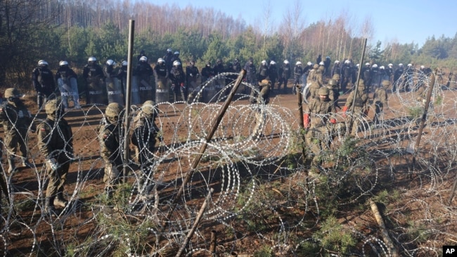 Polish police and border guards stand near the barbed wire as migrants from the Middle East and elsewhere gather at the Belarus-Poland border near Grodno Grodno, Belarus, Nov. 9, 2021. (Leonid Shcheglov/BelTA via AP)