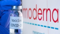 资料照片：莫德纳公司研制的疫苗（2020年11月18日）
