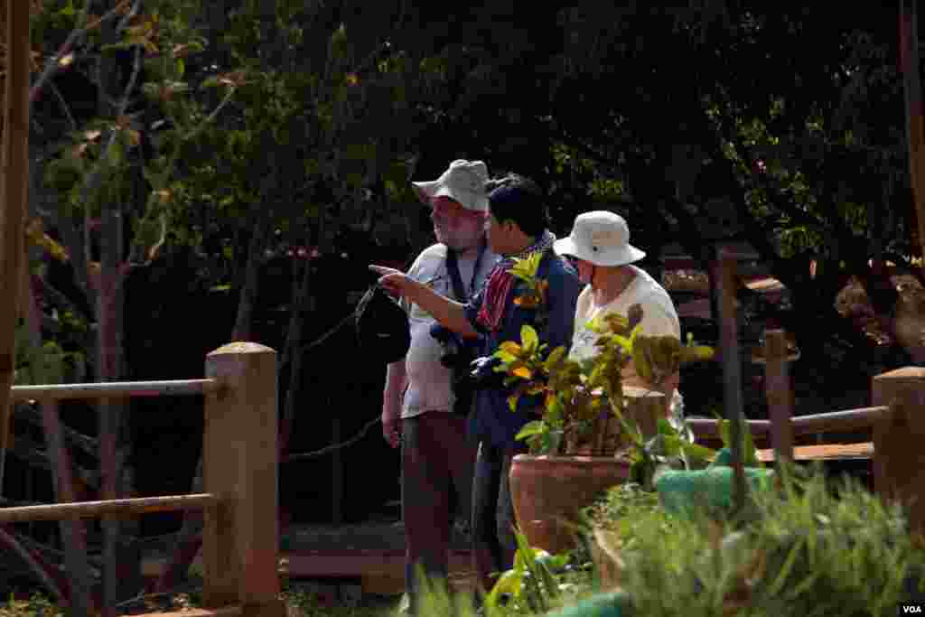 So Phal, a tour guide, takes tourists through a coffee plantation, Mondulkiri province. (Nov Povleakhena/VOA Khmer)