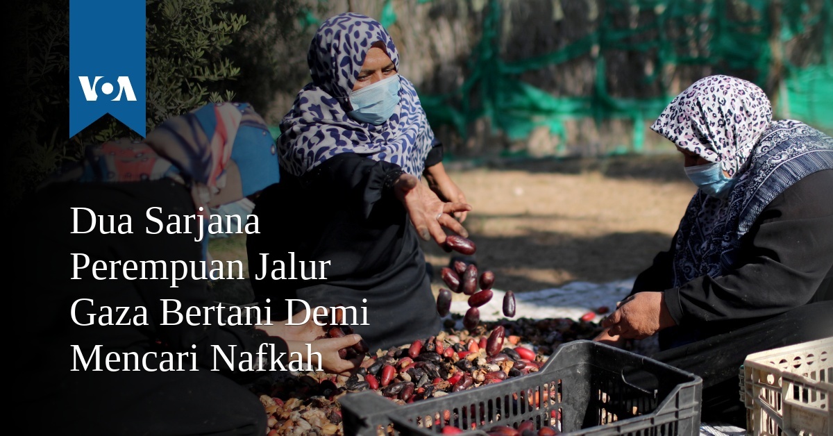 Dua Sarjana Perempuan Jalur Gaza Bertani Demi Mencari Nafkah