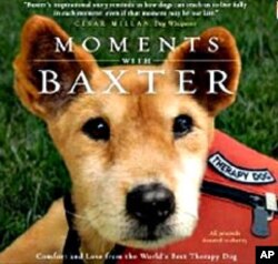 In her book, "Moments with Baxter", Joseph shares true stories about the connection Baxter made with terminally ill people