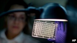 FILE - А microbiologist reads a panel to check on a bacterium's resistance to an antibiotic in а lab at the U.S. Centers for Disease Control and Prevention, Nov. 25, 2013, in Atlanta, Georgia.