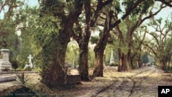 The Bonaventure cemetery, the spooky Savannah cemetery that inspired the title of the book, "Midnight in the Garden of Good and Evil."