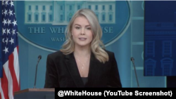 
کارولین لیویت سخنگوی کاخ سفید