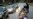 Ferguson Grand Jury Decides Not to Indict Police Officer