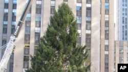 游客和纽约客聚集在洛克菲洛中心观看工人们把圣诞树竖起来