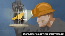 Canary in the Coal mine