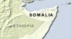 Al-Qaida Linked Group Gains Control of Somali Port City